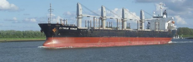 Fatal Accident Aboard Bulk Carrier ~ Lyttleton Port, NZ  [21 December 2013]