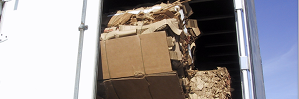Marine Terminal Supervisor Killed In Container Loading Process  [San Juan, PR ~ 11 July 2016]