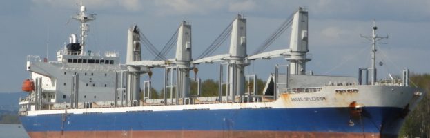 ILWU Linesman Fatally Injured in Vessel Shifting Operation (Longview, WA – 28 June 2018)