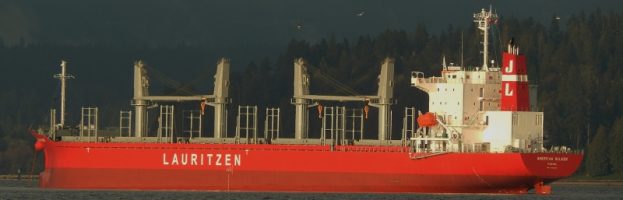 2 Longshore Workers Dead; 1 Crew Member Hospitalized In Another Atmospheric Event  [13 November 2018 – Montevideo, UR]