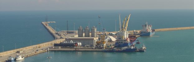 Marine Terminal Worker Fatally Crushed Inside Intermodal Container  [Ortona, Italy – 25 March 2019]