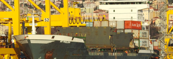 Ship Agency Worker Struck and Killed by Parted Containership Mooring Line  [Ancona, Italy – 10 June 2019]