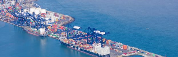Port Worker Suffers Fatal Crushing Injuries at Container Depot  [San Antonio, Chile – 24 April 2020]