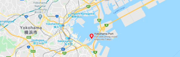 Longshoreman Struck, Killed By Falling Cargo  [Yokohama, Japan – 19 June 2020]