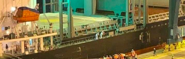 Docker Dead After Fall Into Water at Shipside  [San Antonio, Chile – 30 November 2020]