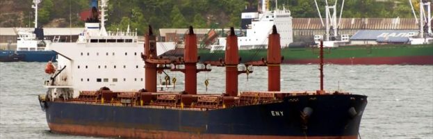 Two Longshore Workers Asphyxiated In Bulk Carrier’s Cargo Hold  [Donghae, S. Korea – 18 March 2021]