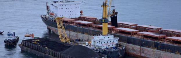 Operator Dies as Floating Crane’s Upper Column  Is Unshipped During Bulk Coal Transfer  [Hon Net, Vietnam  –  09 November 2022]