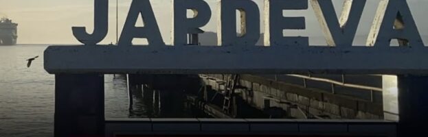 Shipboard Longshore Worker Hit  By Falling Cargo, Knocked Into Harbor; Drowns  [Port Limón, Costa Rica – 02 August 2025]
